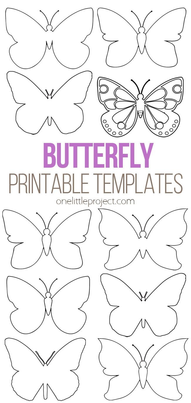 Butterfly Printable Template Free