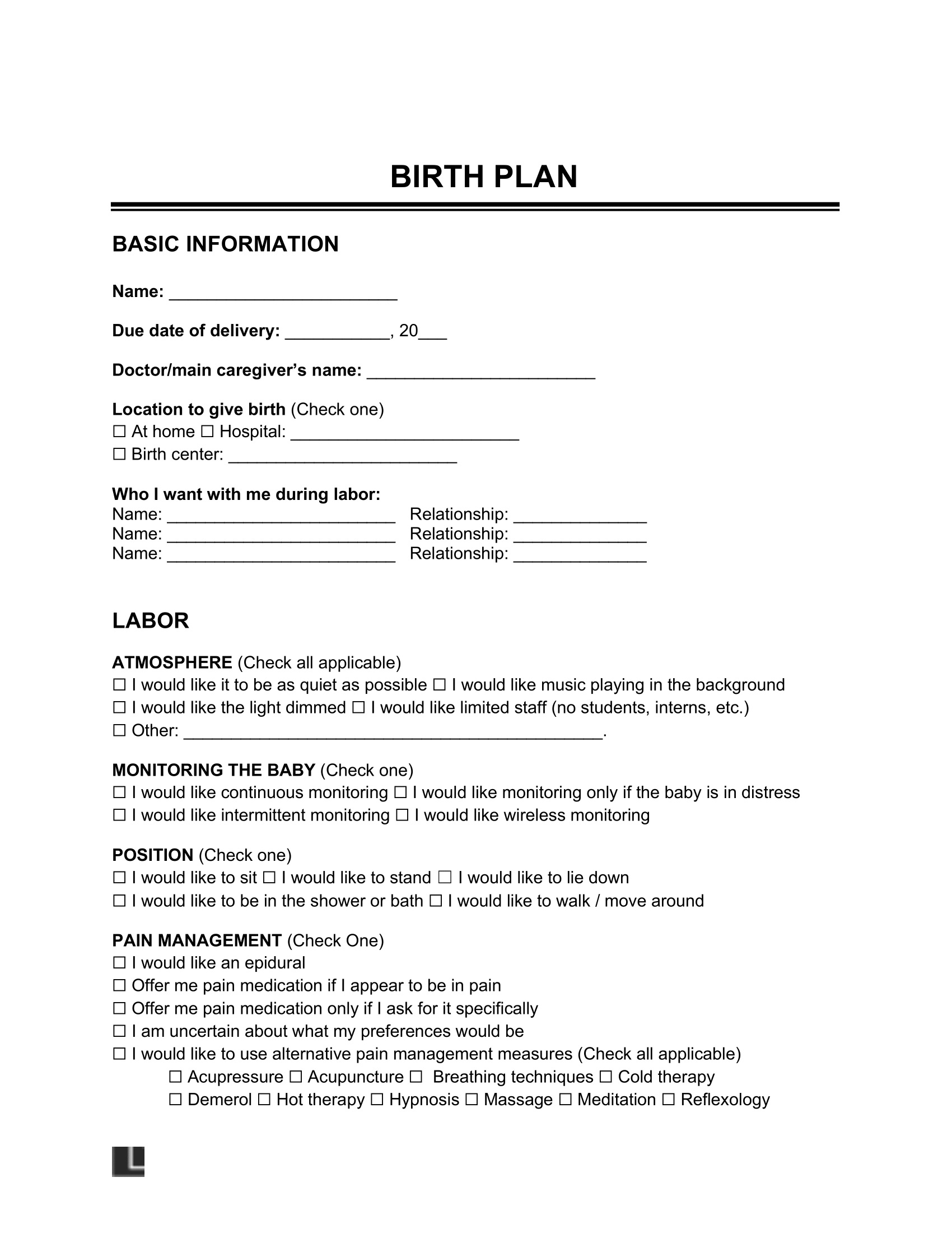 Free Birth Plan Template PDF amp Word