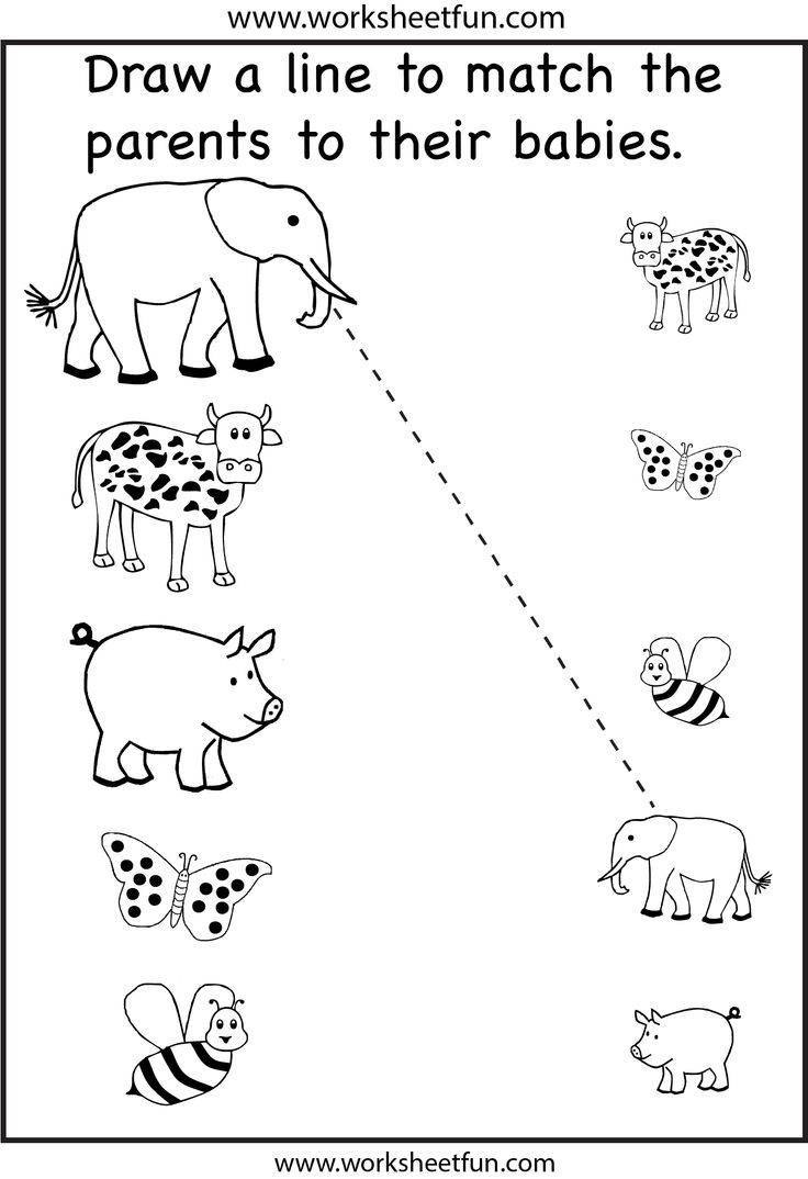 Free Preschool Matching Worksheets Fun Worksheets For Kids Kids 