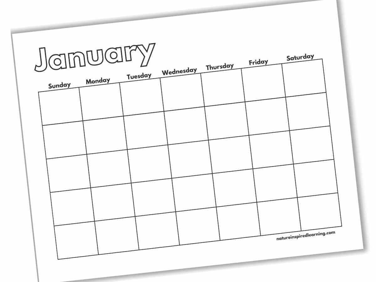 Printable Blank January Calendar