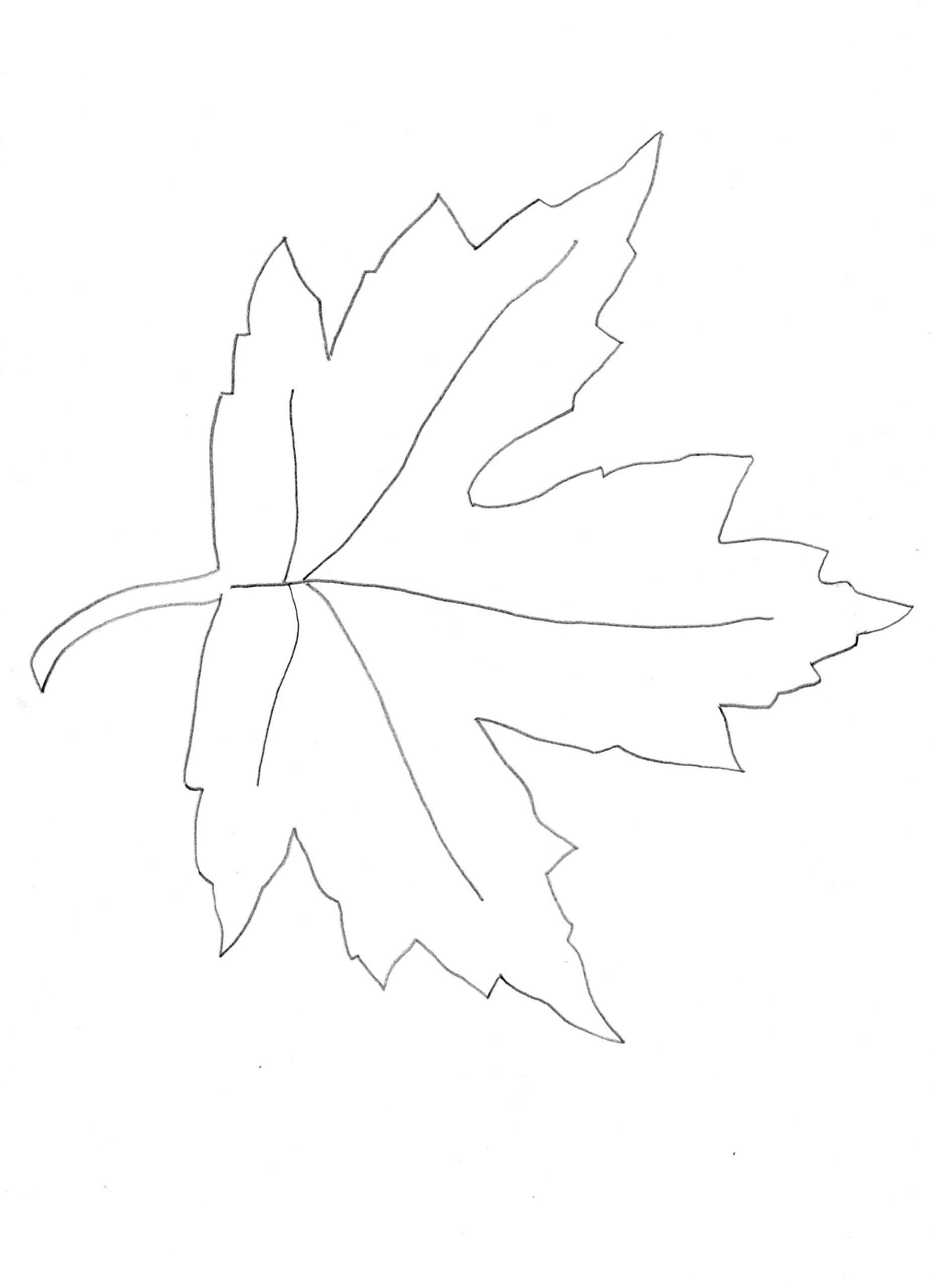 Maple Leaf Template Printable Free