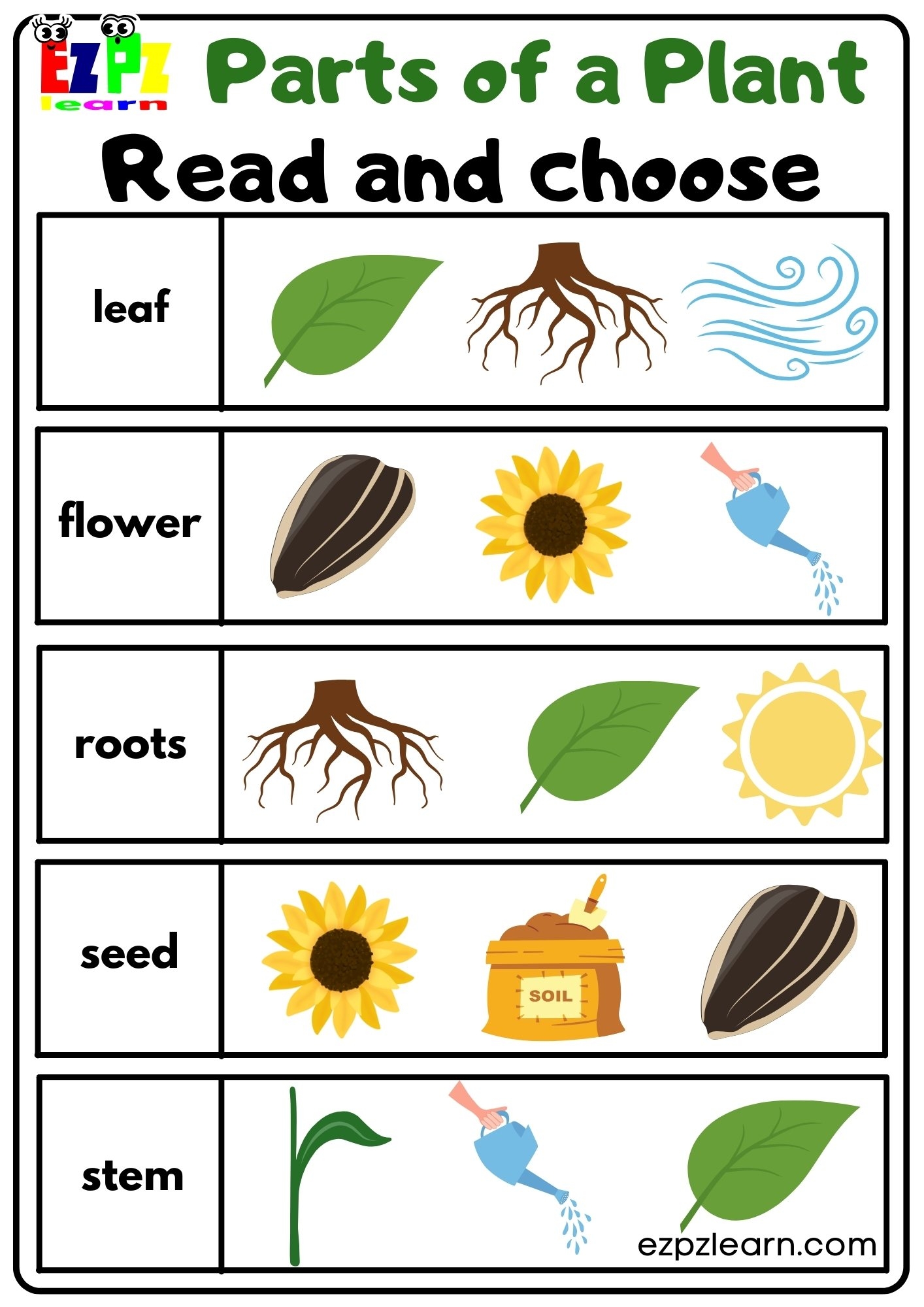 Free Printable Parts Of A Plant Worksheet
