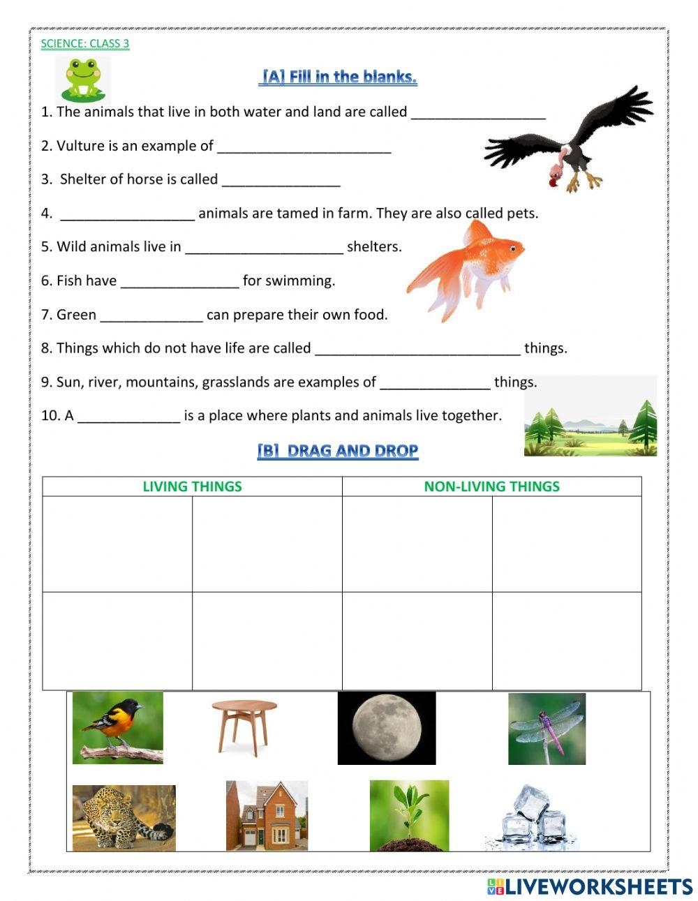 Free Printable 3rd Grade Worksheets Science
