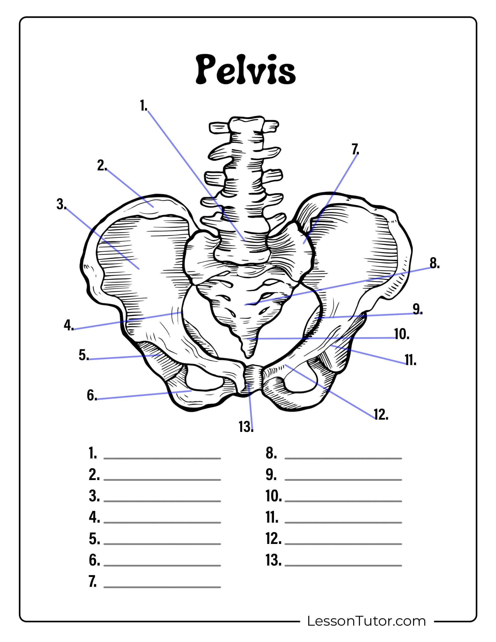 Printable A&P Skeleton Labeling Worksheet
