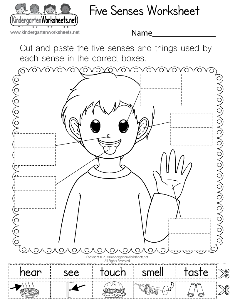 Printable Science Worksheets For Kindergarten