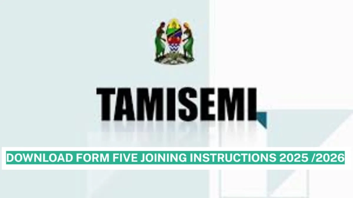 What Is Tamisemi Form 5 Selection 2025/2026
