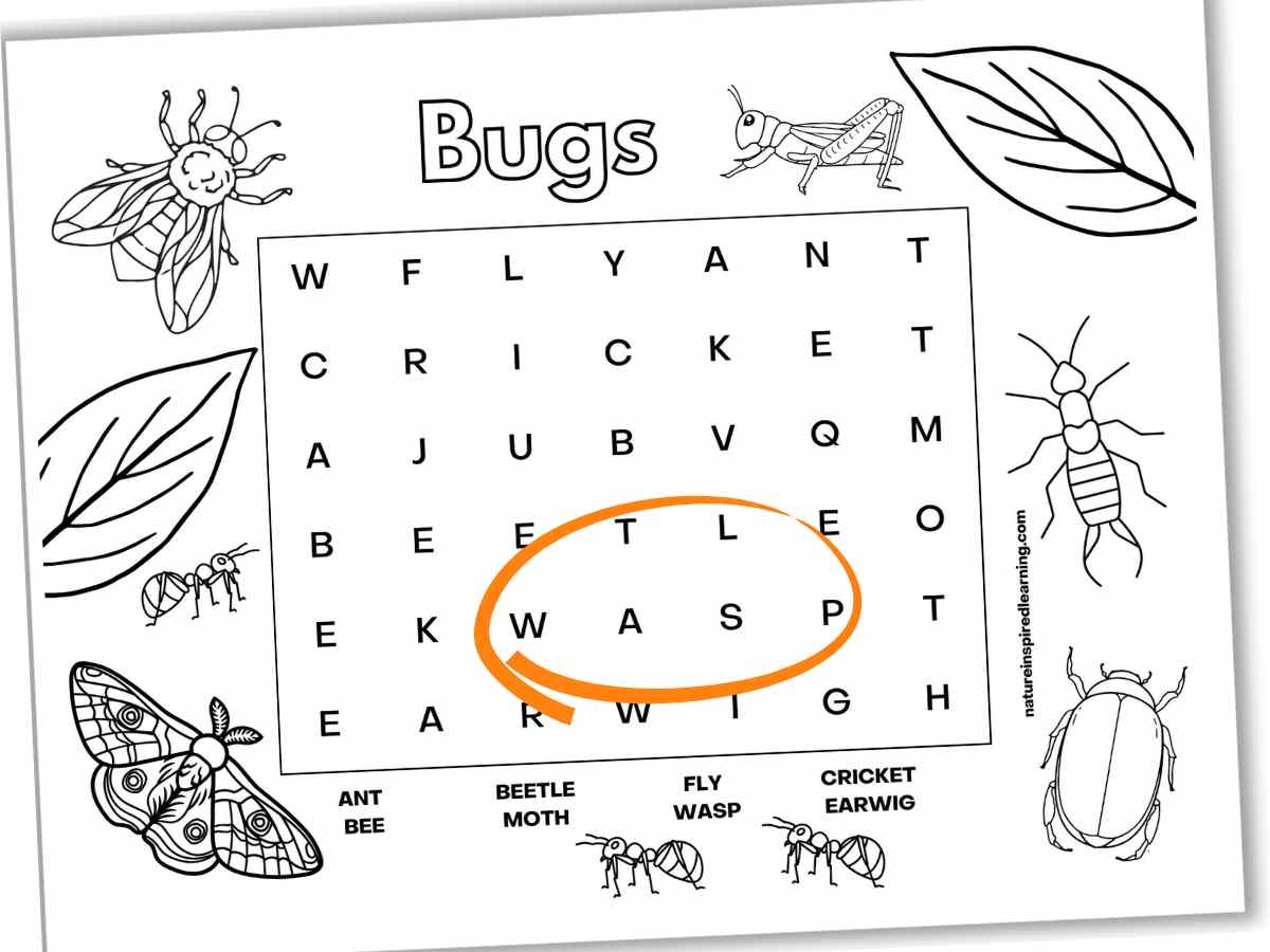 Insect Word Search Printable