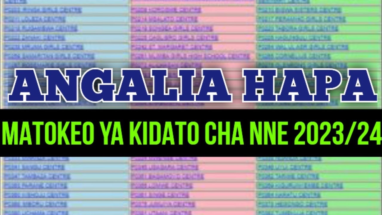 JINSI YA KUANGALIA MATOKEO YA KIDATO CHA NNE 2023 NECTA FORM FOUR RESULT 2023