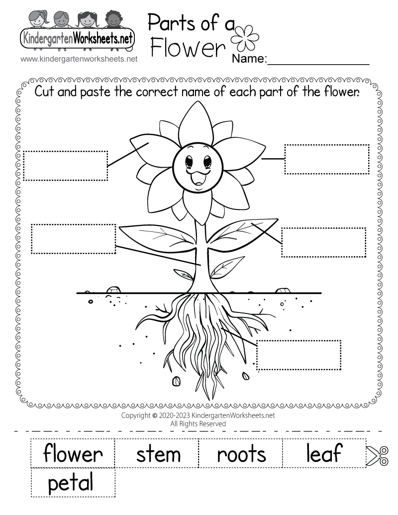 Science Worksheets Free Printable