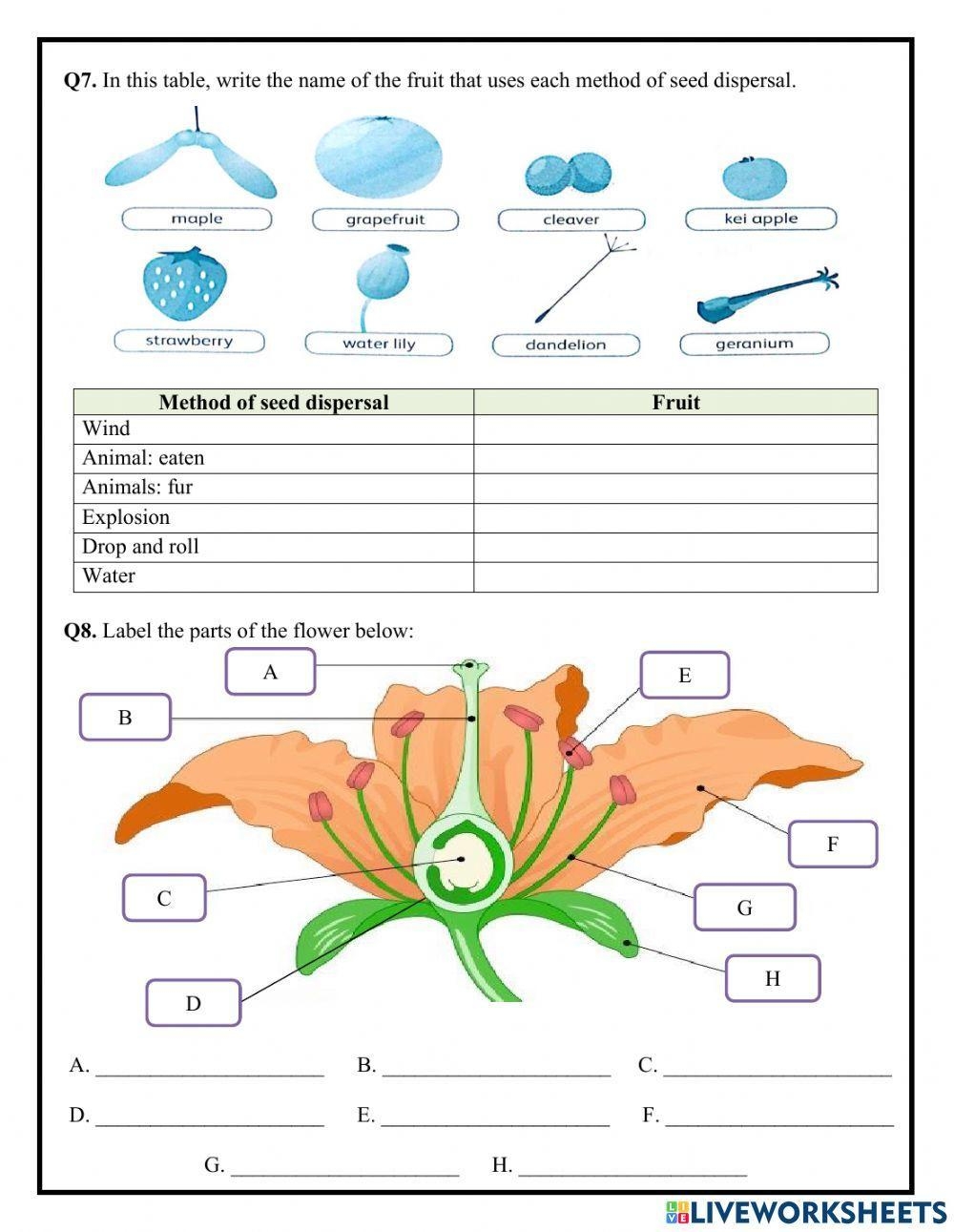 Printable Worksheets For 5th Grade Science