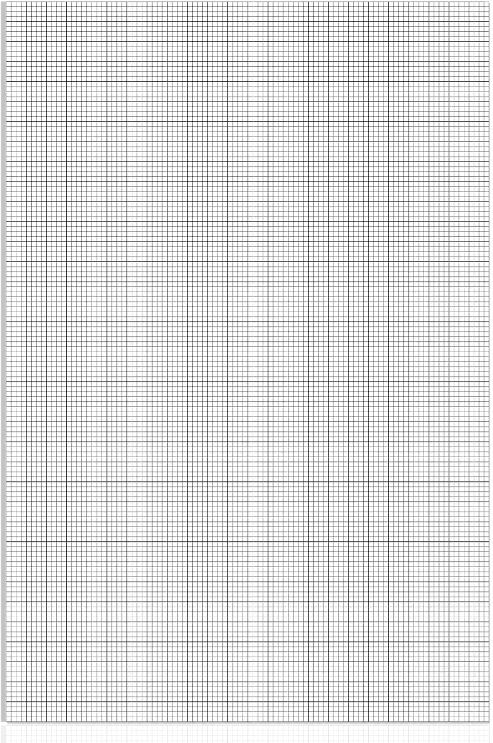 Graph Paper Large Grid