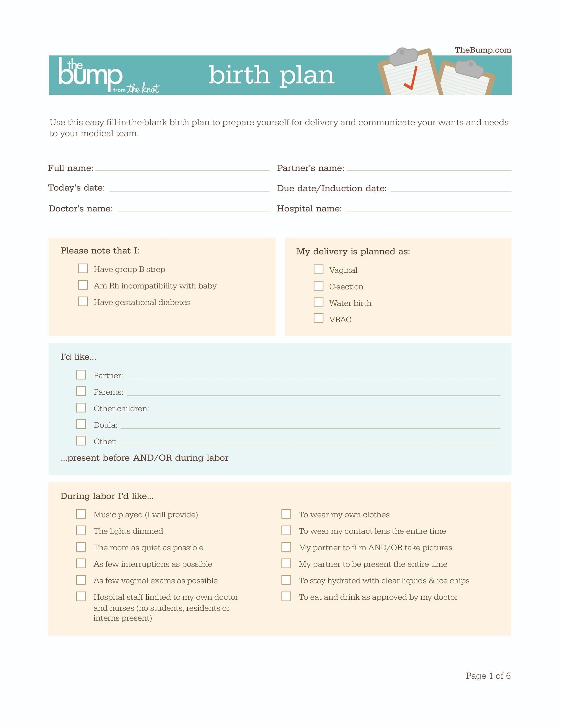 Birth Plan Template Printable