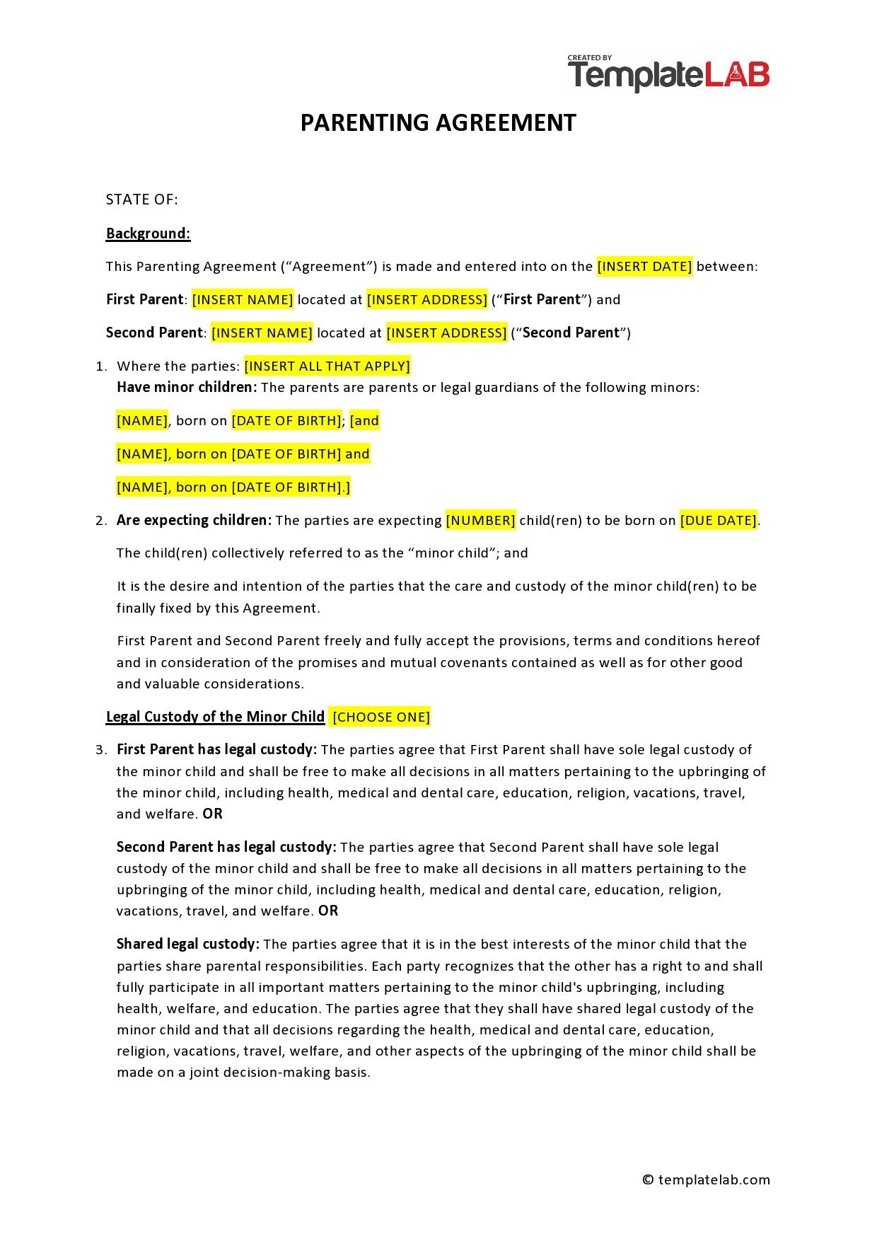 Free Printable Parenting Plan Form