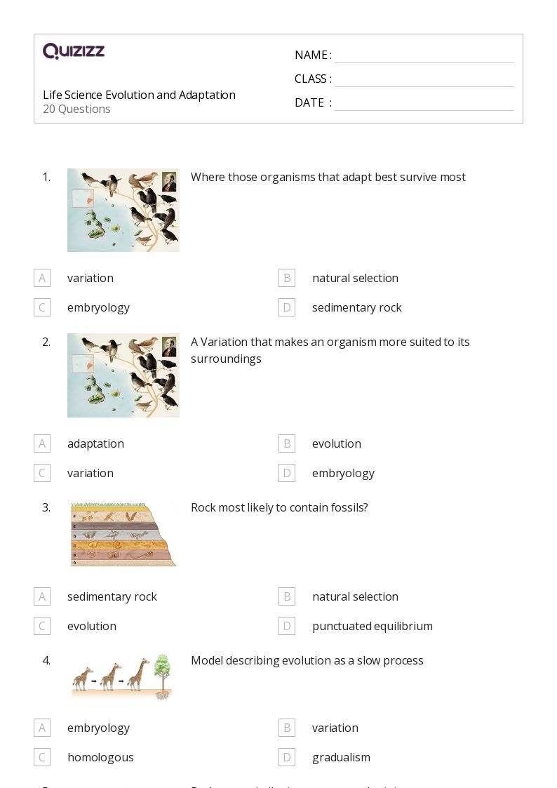 50 Life Science Worksheets For 7th Grade On Quizizz Free 
