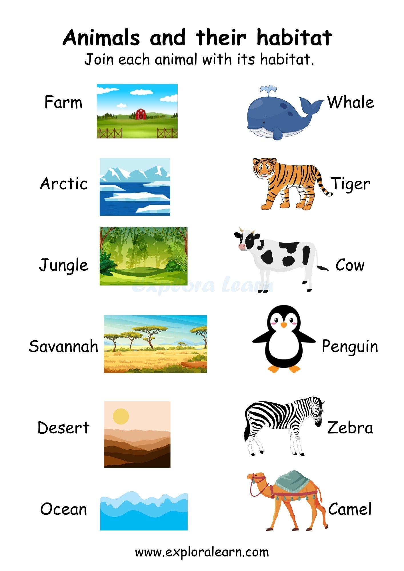 Animal And Homes Worksheets For Preschool And Kindergarten 2 To 6 