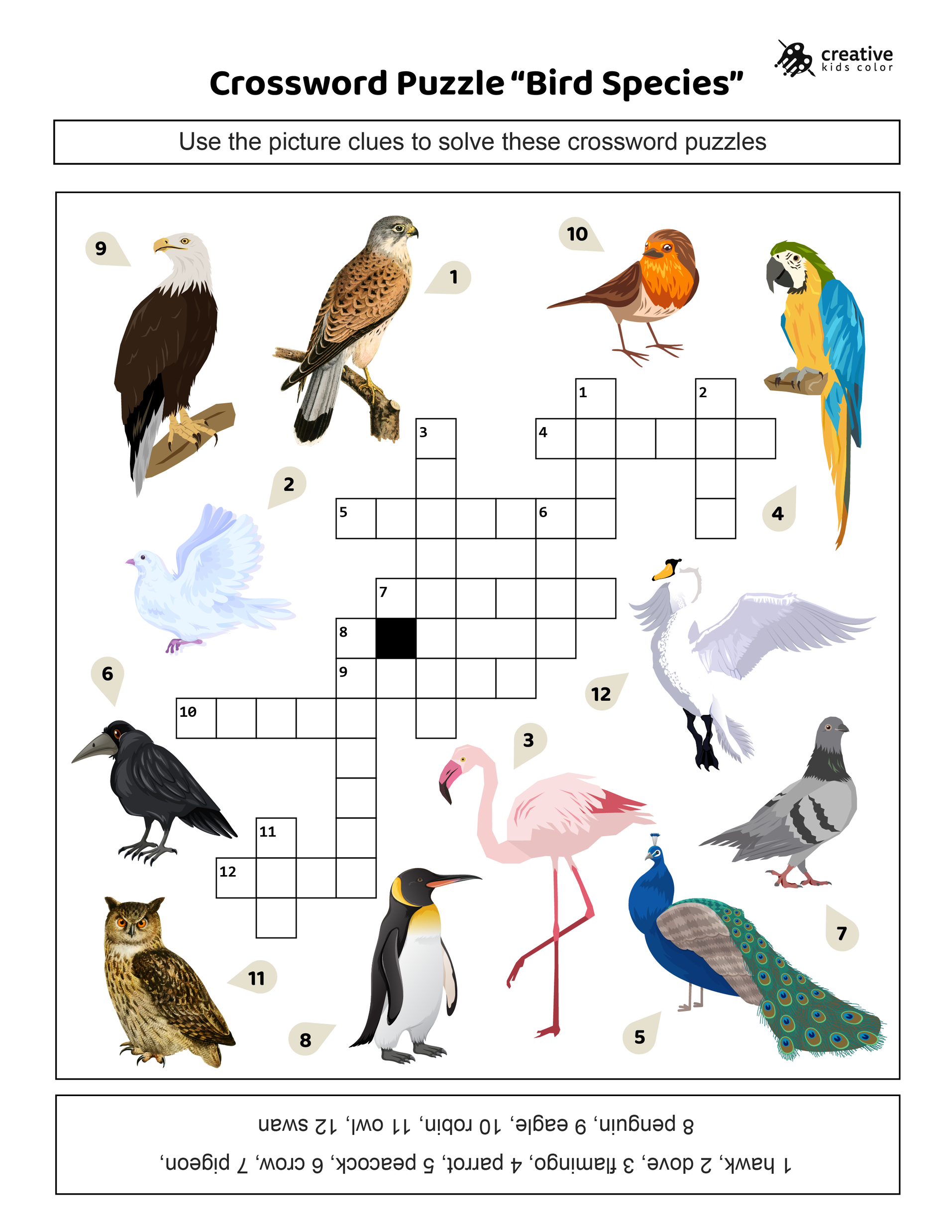 Printable Crossword Puzzles Sea Birds