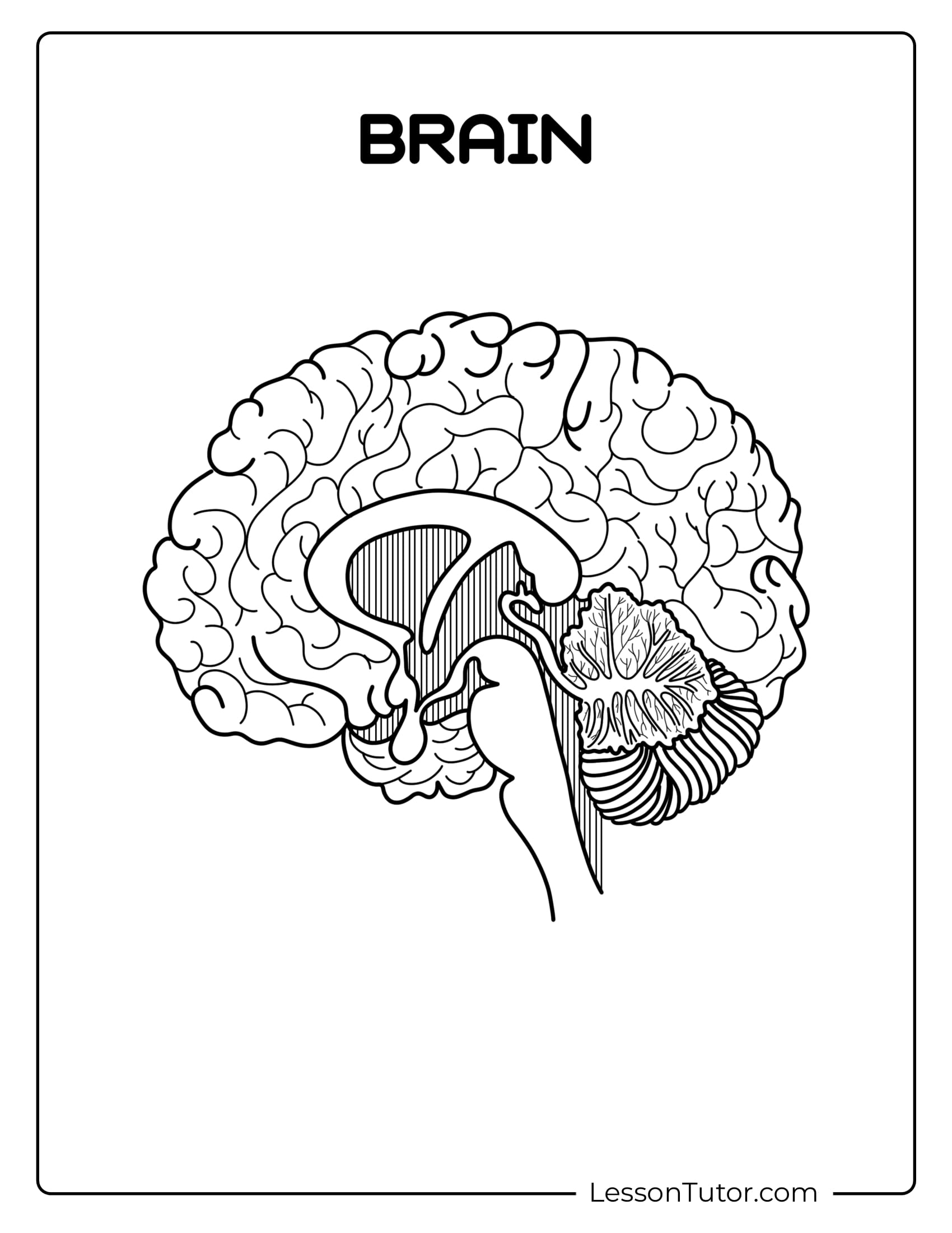 Brain Activity Worksheets Printable