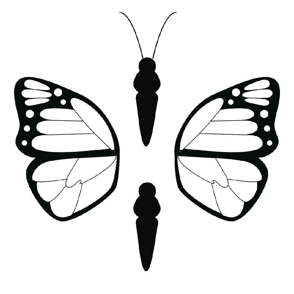 Free Printable 3d Butterfly Template