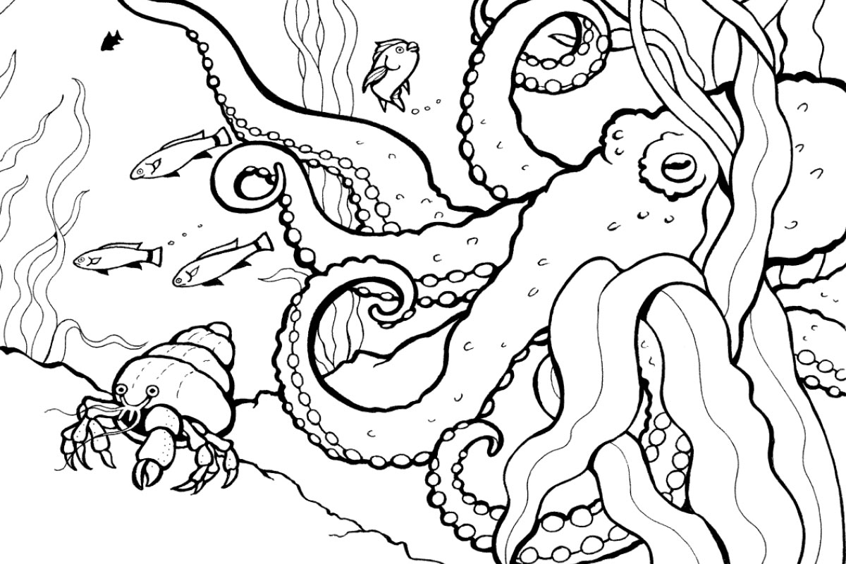 Ocean Coloring Sheets Printable