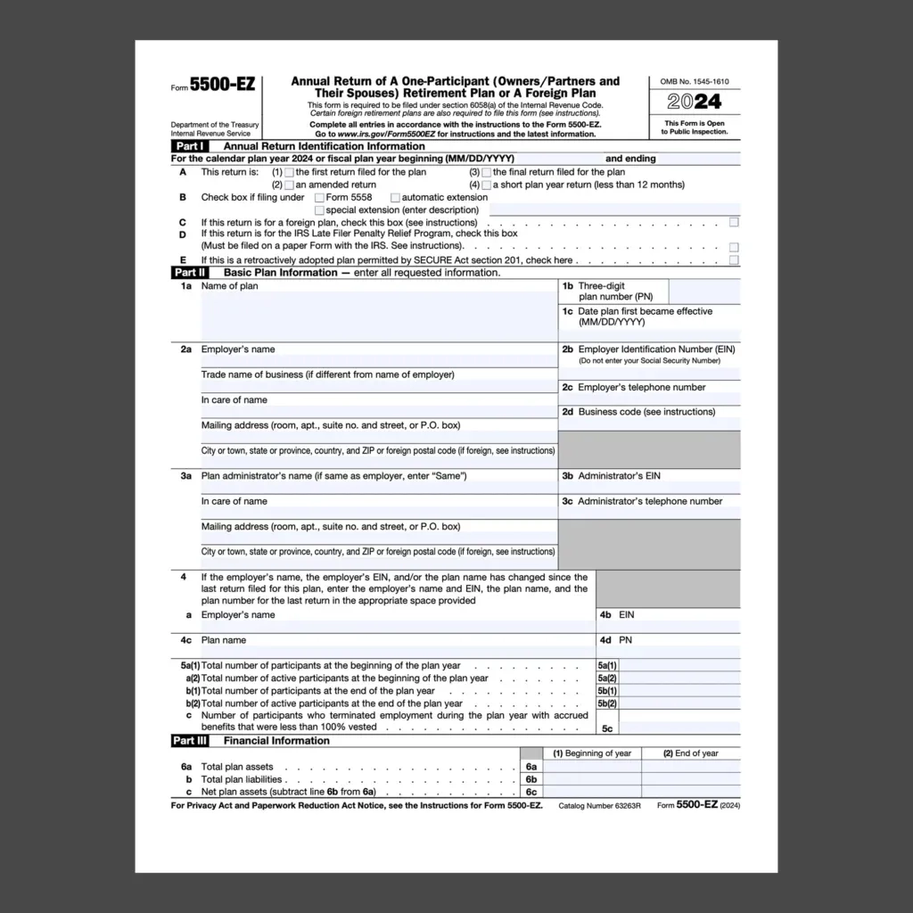 Irs Form 5500-Ez Instructions