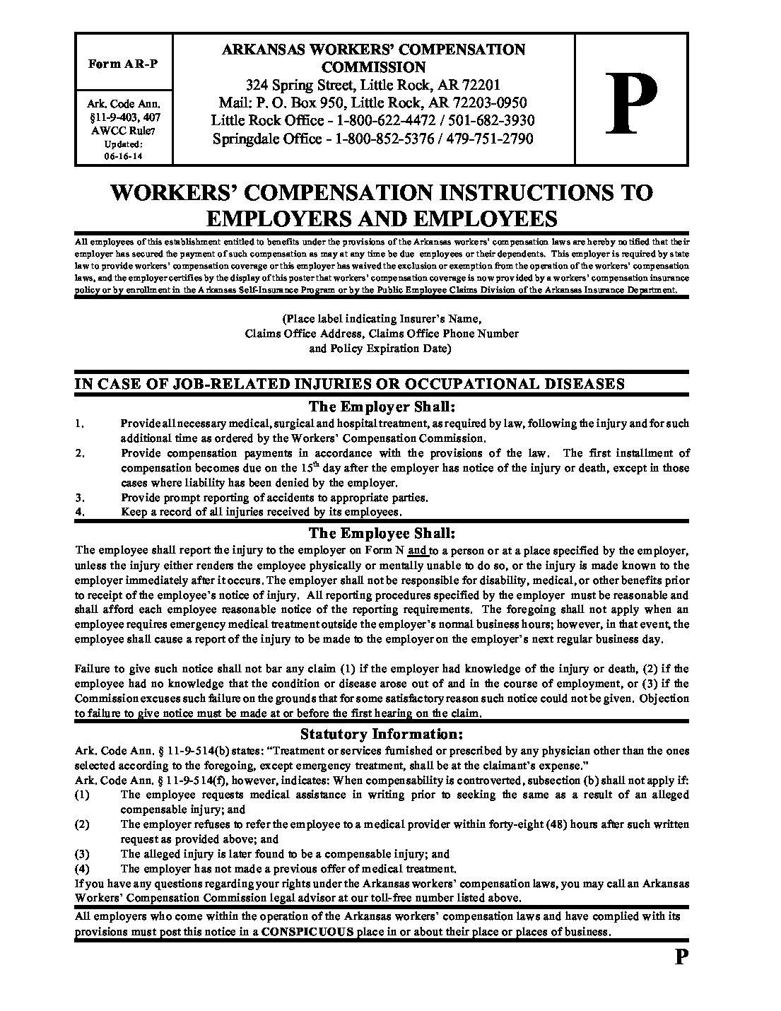 Form P 2026