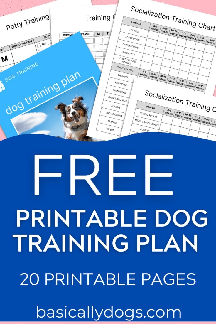 Free Printable Dog Training Plan Template To Download Basically Dogs