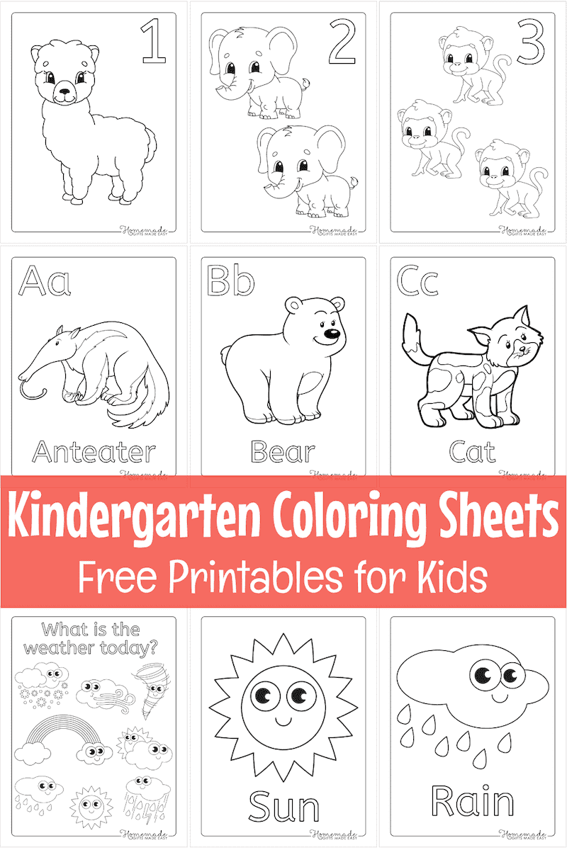 Worksheet For Kindergarten Printable Coloring