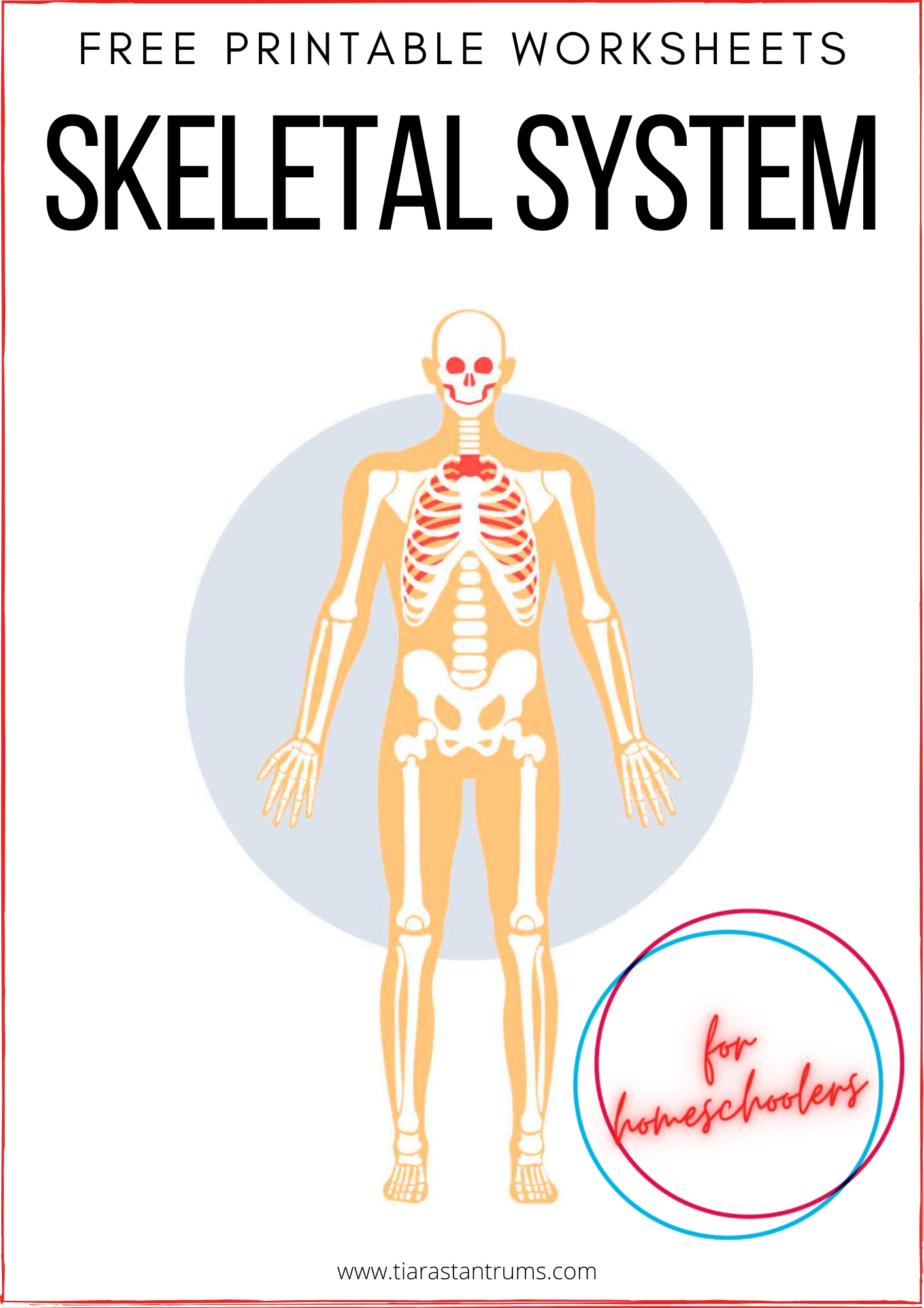Free Printable Skeleton Worksheets