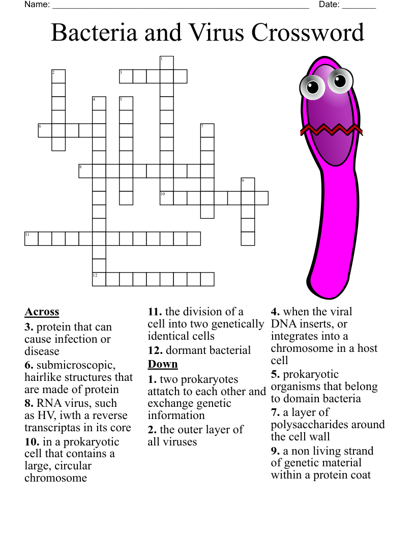 Germs And Health Crossword WordMint
