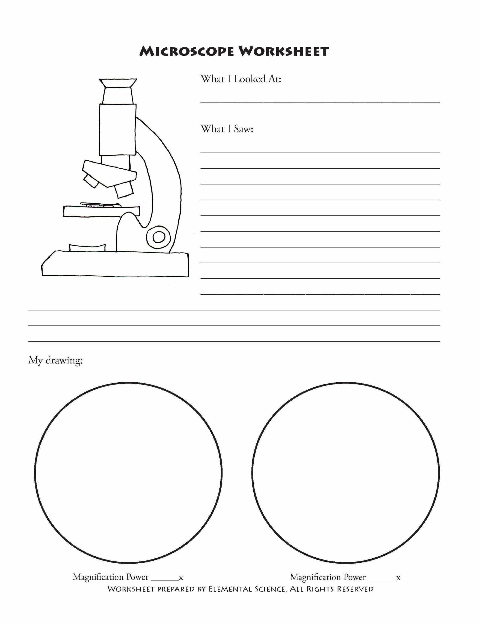 Printable Homeschool Worksheets For Science