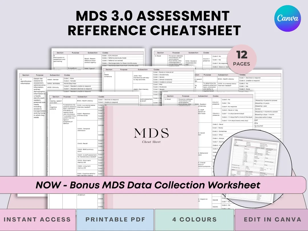 MDS 3 0 Assessment Cheat Sheet Set MDS Coordinators Quick 