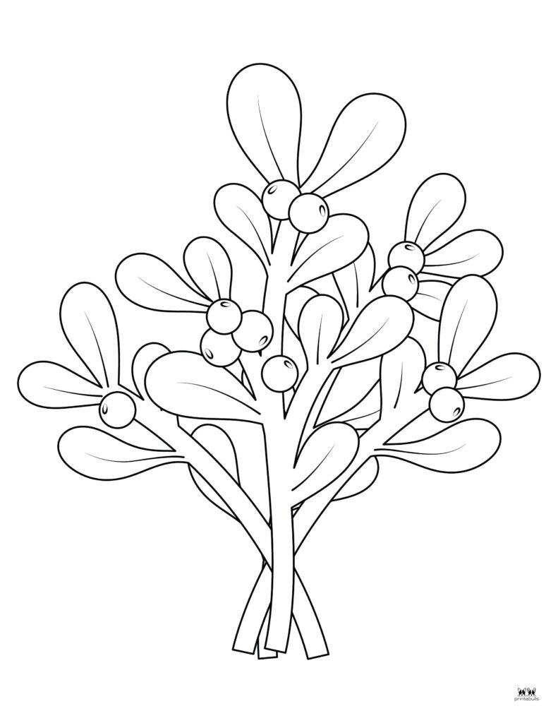 Mistletoe Coloring Pages amp Templates FREE Printabulls