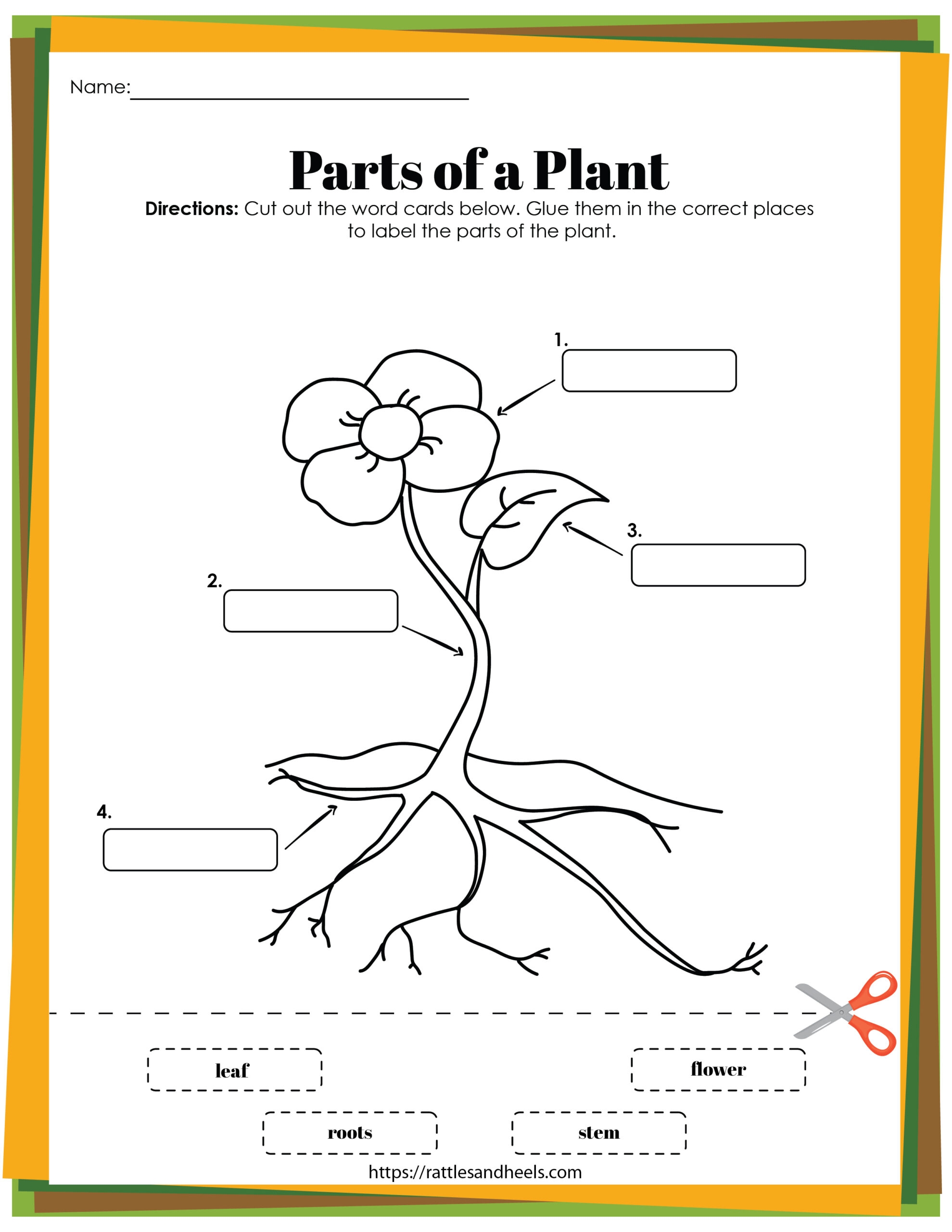 Free Printable Life Cycle Of A Plant
