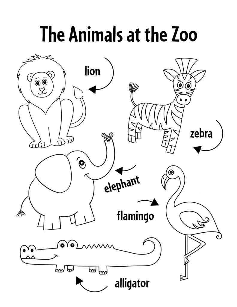 Preschool Zoo Theme Lesson Plan With Free Zoo Printables The 