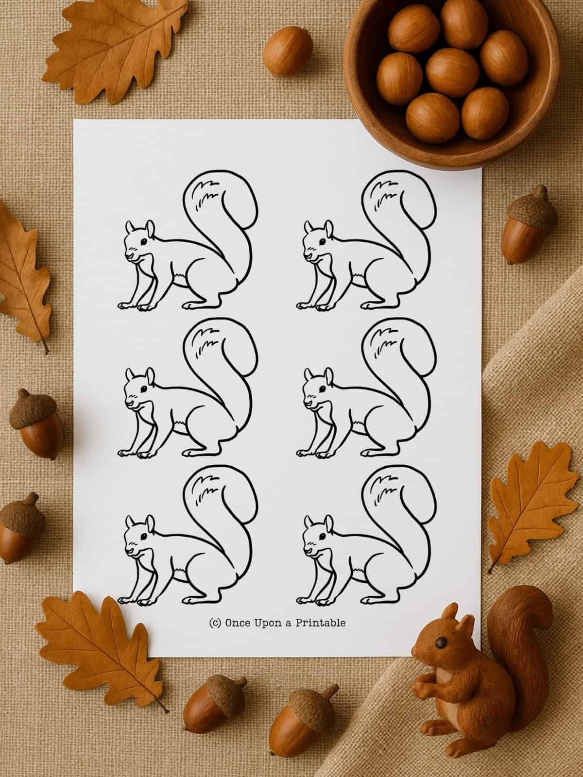 Squirrel Templates Free Printables Once Upon A Printable