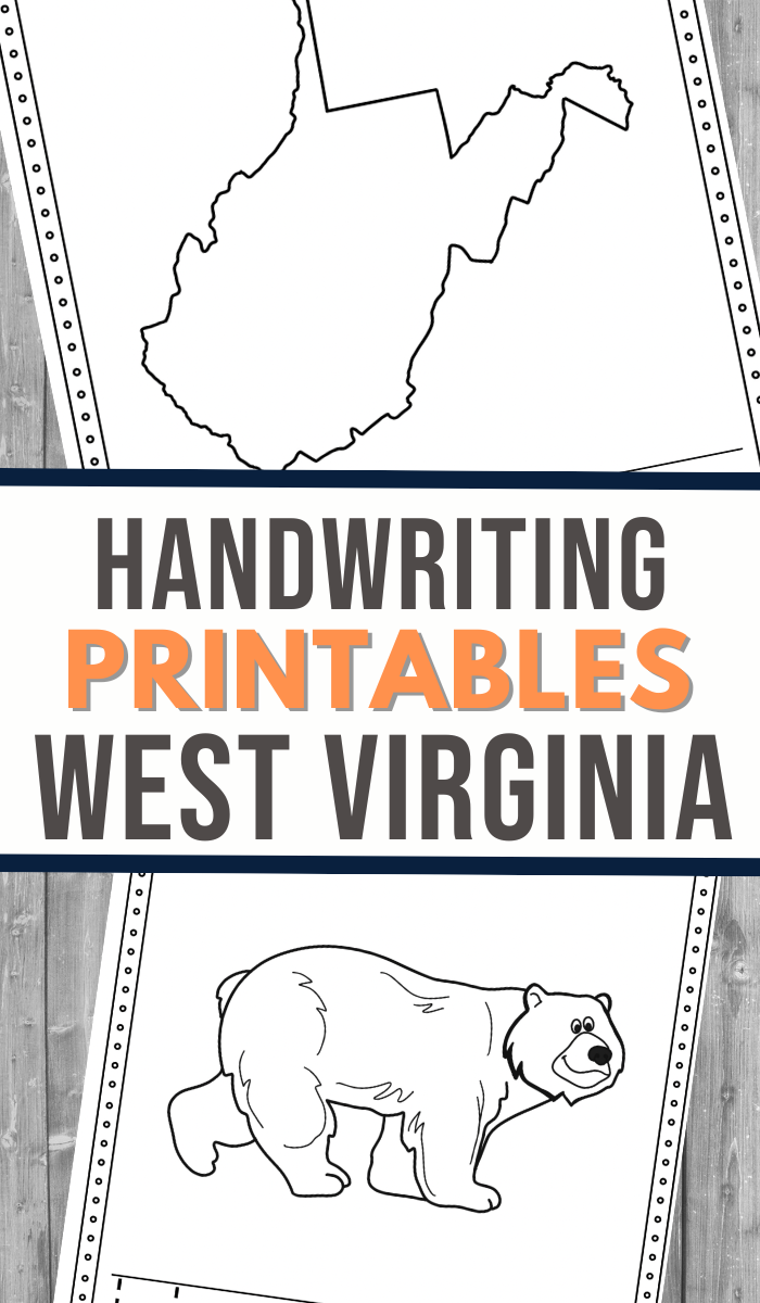 West Virginia Coloring And Handwriting Book 3 Boys And A Dog