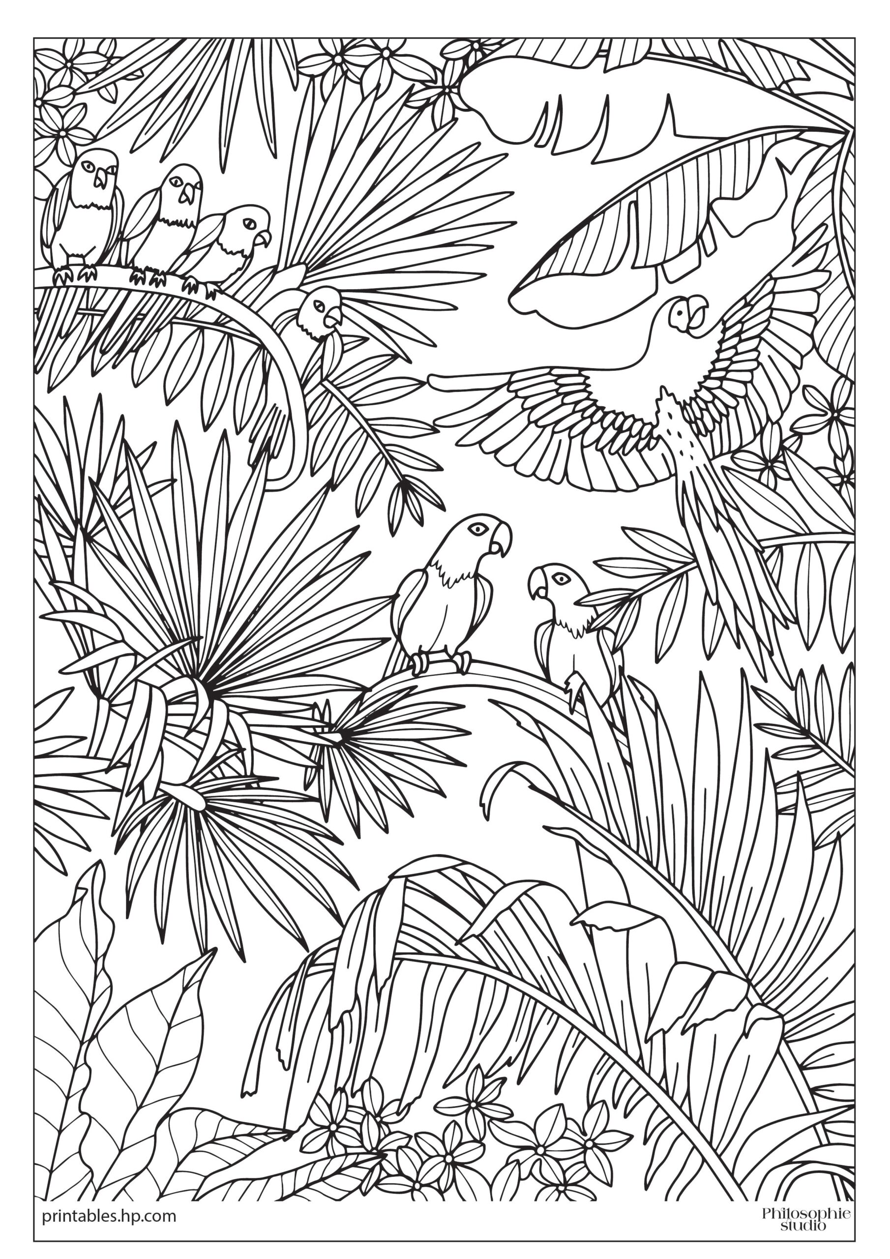 Winter Fun Tropical Jungle Printables Free Coloring Pages 